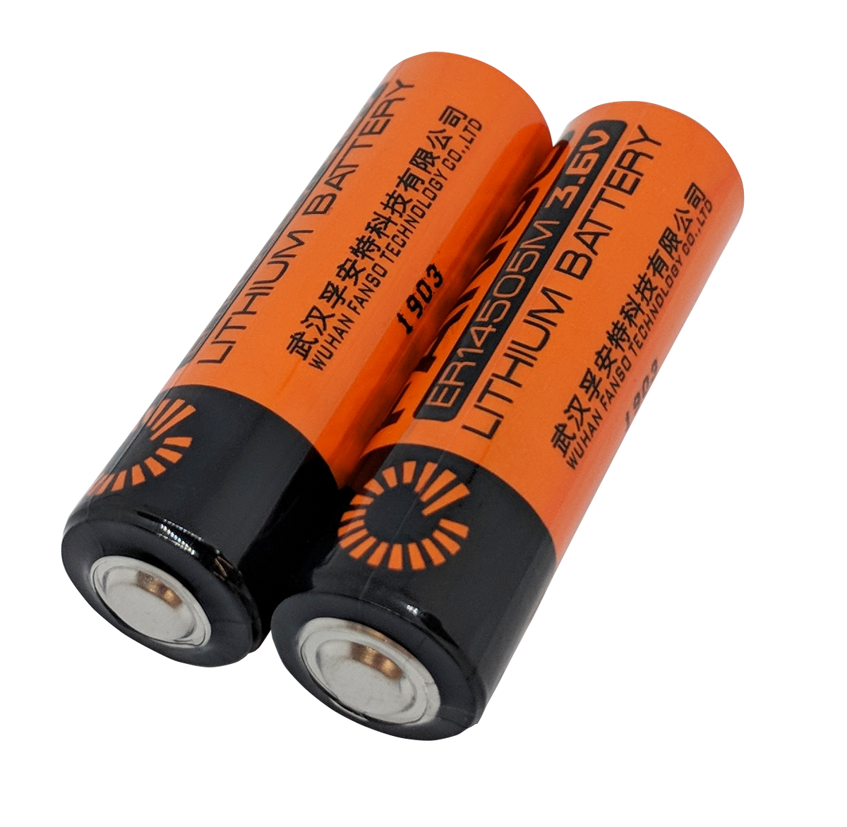 AA 3.6V Battery Replacement (box of 10 individual batteries) for B1 Ve BeWhere Shop